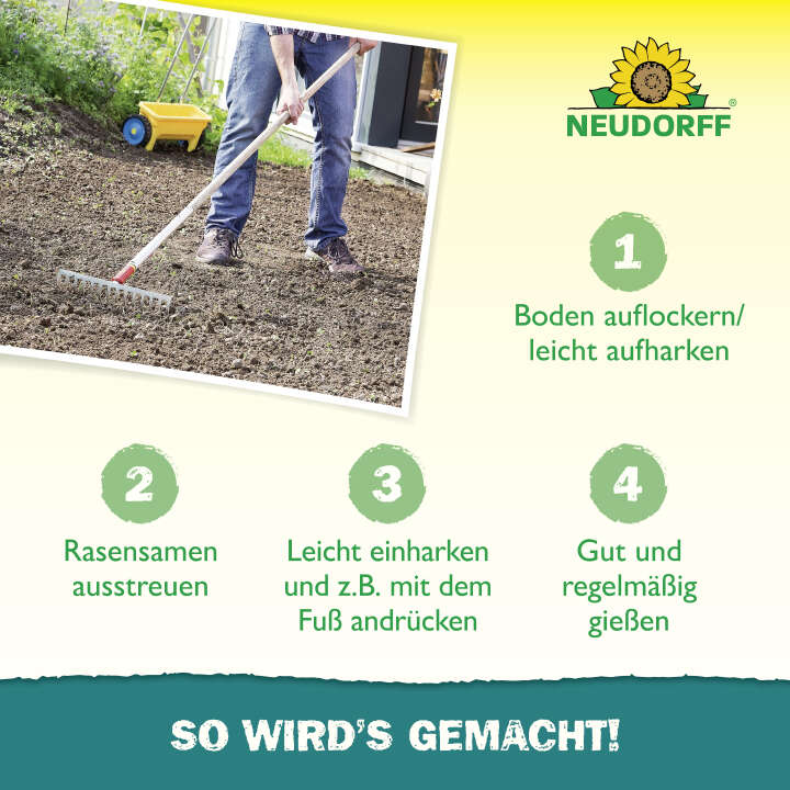 NEUDORFF Nachsaat RasenSamen